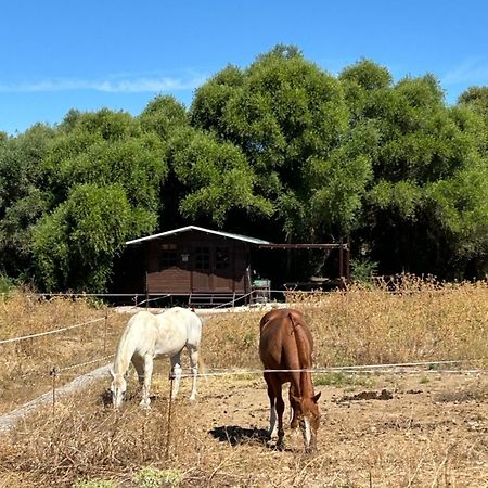 Cabana Rustica En Un Rancho Con Caballos, Prado Del Rey, Andalucia Eksteriør billede