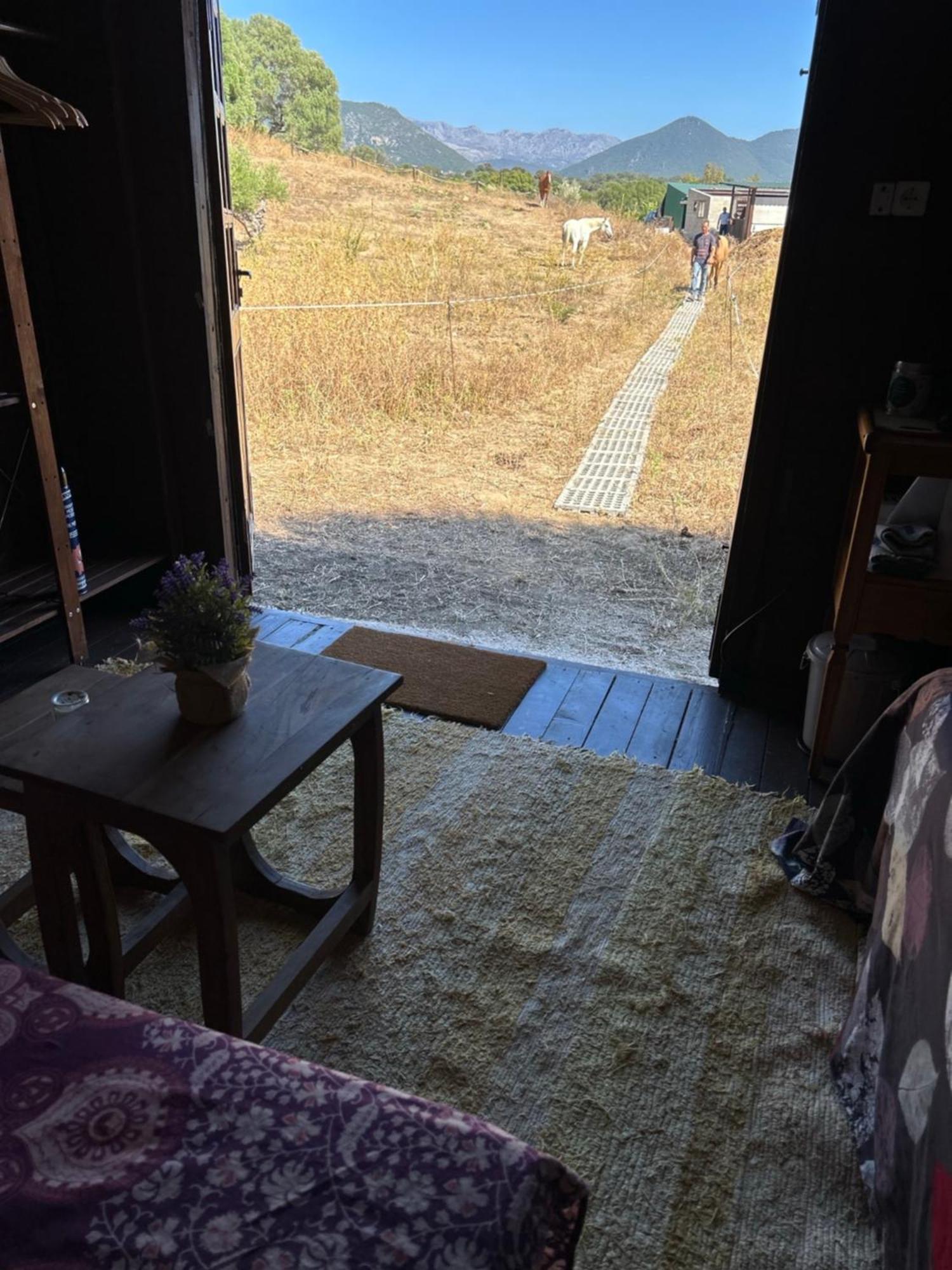 Cabana Rustica En Un Rancho Con Caballos, Prado Del Rey, Andalucia Eksteriør billede
