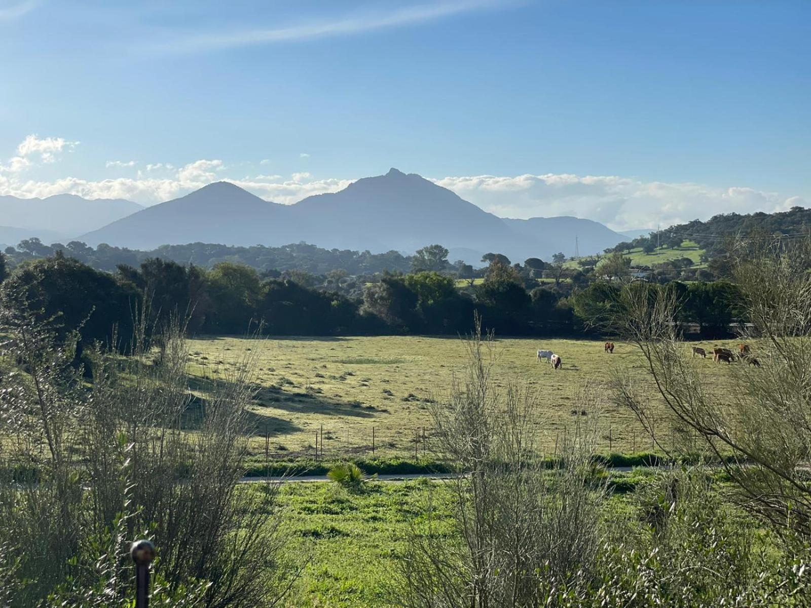 Cabana Rustica En Un Rancho Con Caballos, Prado Del Rey, Andalucia Eksteriør billede