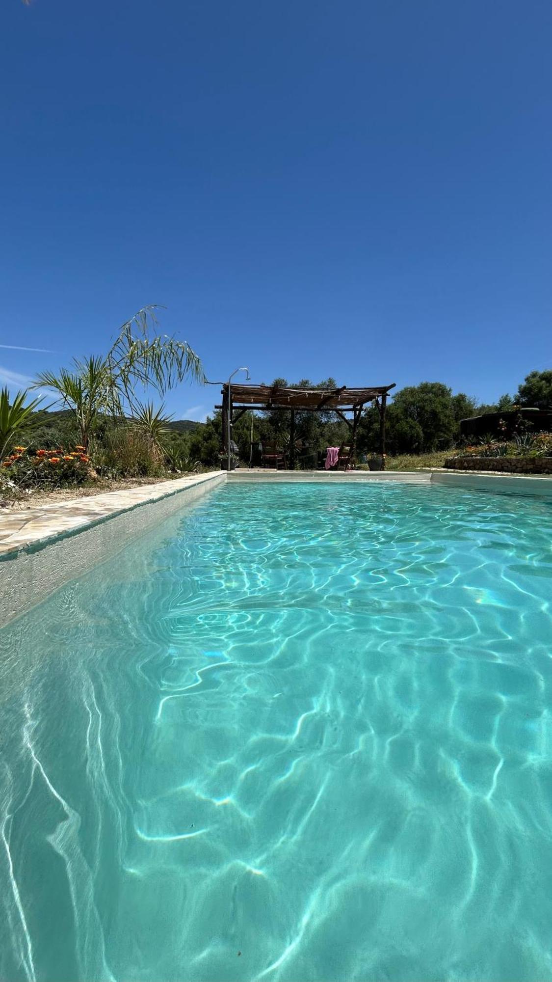 Cabana Rustica En Un Rancho Con Caballos, Prado Del Rey, Andalucia Eksteriør billede
