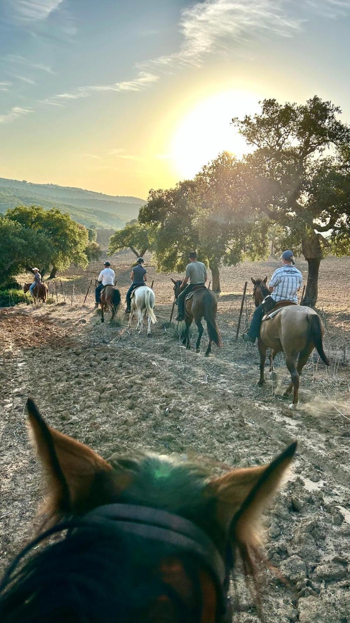 Cabana Rustica En Un Rancho Con Caballos, Prado Del Rey, Andalucia Eksteriør billede